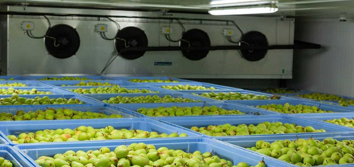 CapTemp Temperature Recording System Ensures Proper Conditions in Fruit Cold Storage Units for Greater Quality Control