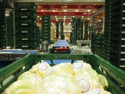 Automation helps Mercadona get fresh produce from field to store within 24 hours  